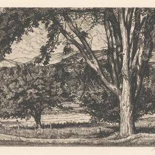 Beyond the Elm