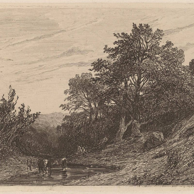 Herd in a Stream