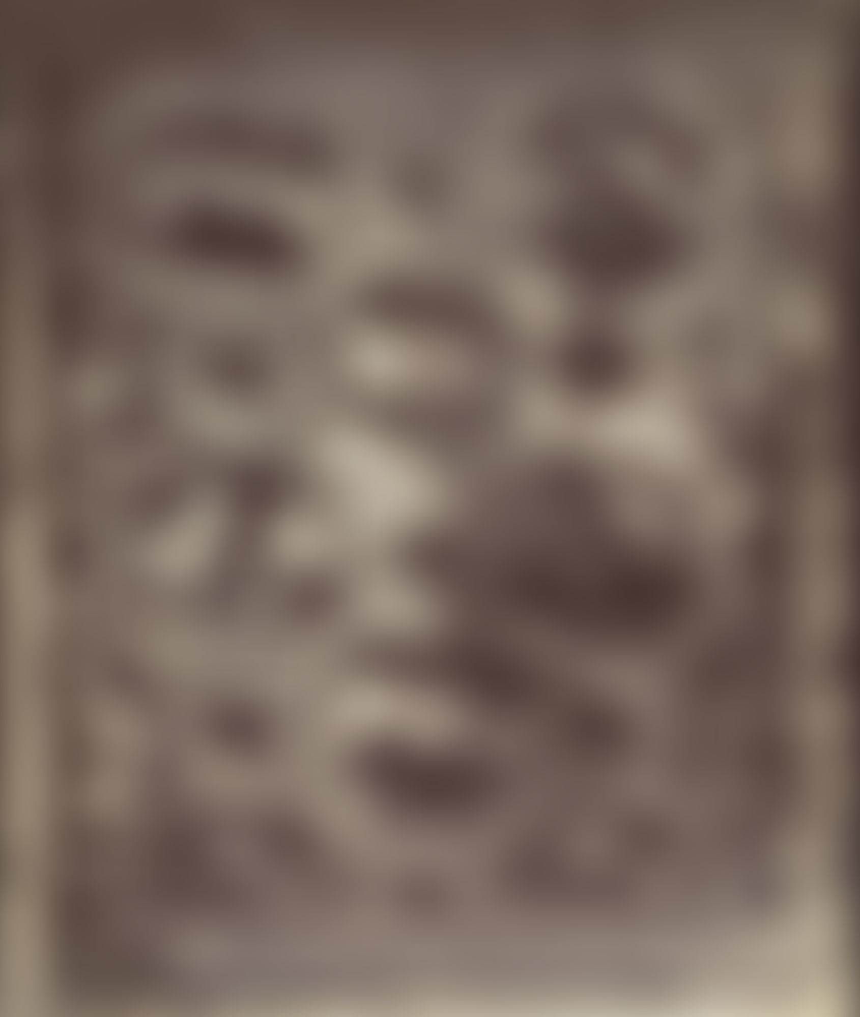 Object Image