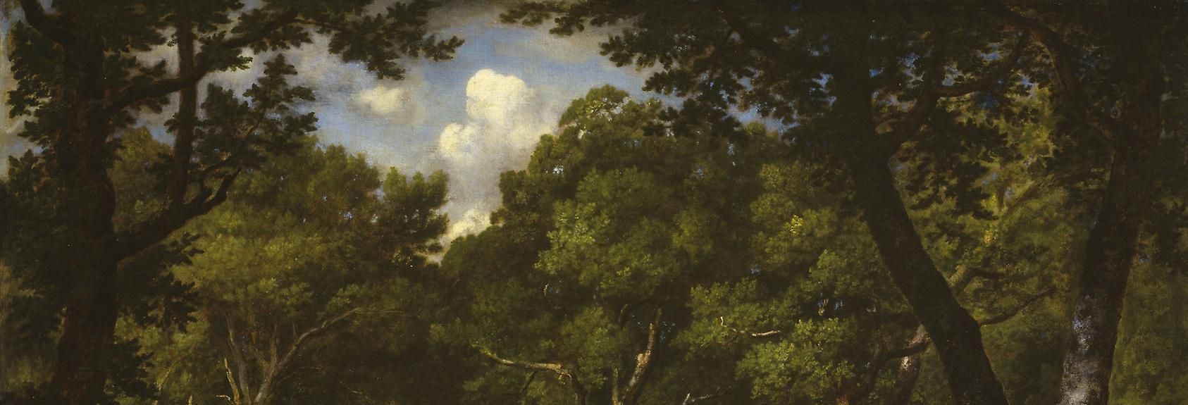 Pond in the Woods