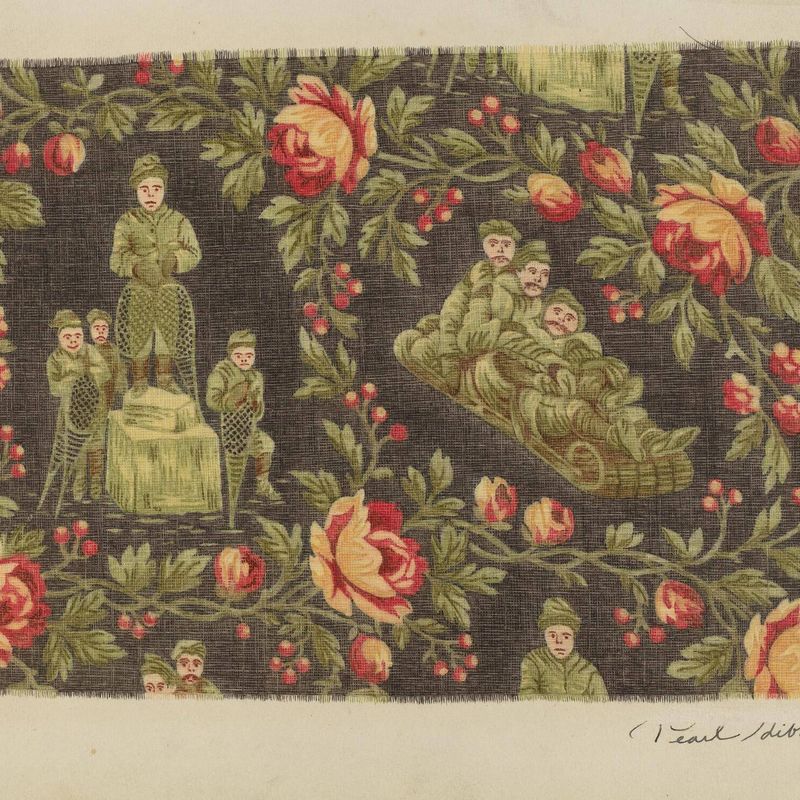 Printed Cotton (Winter Sports)