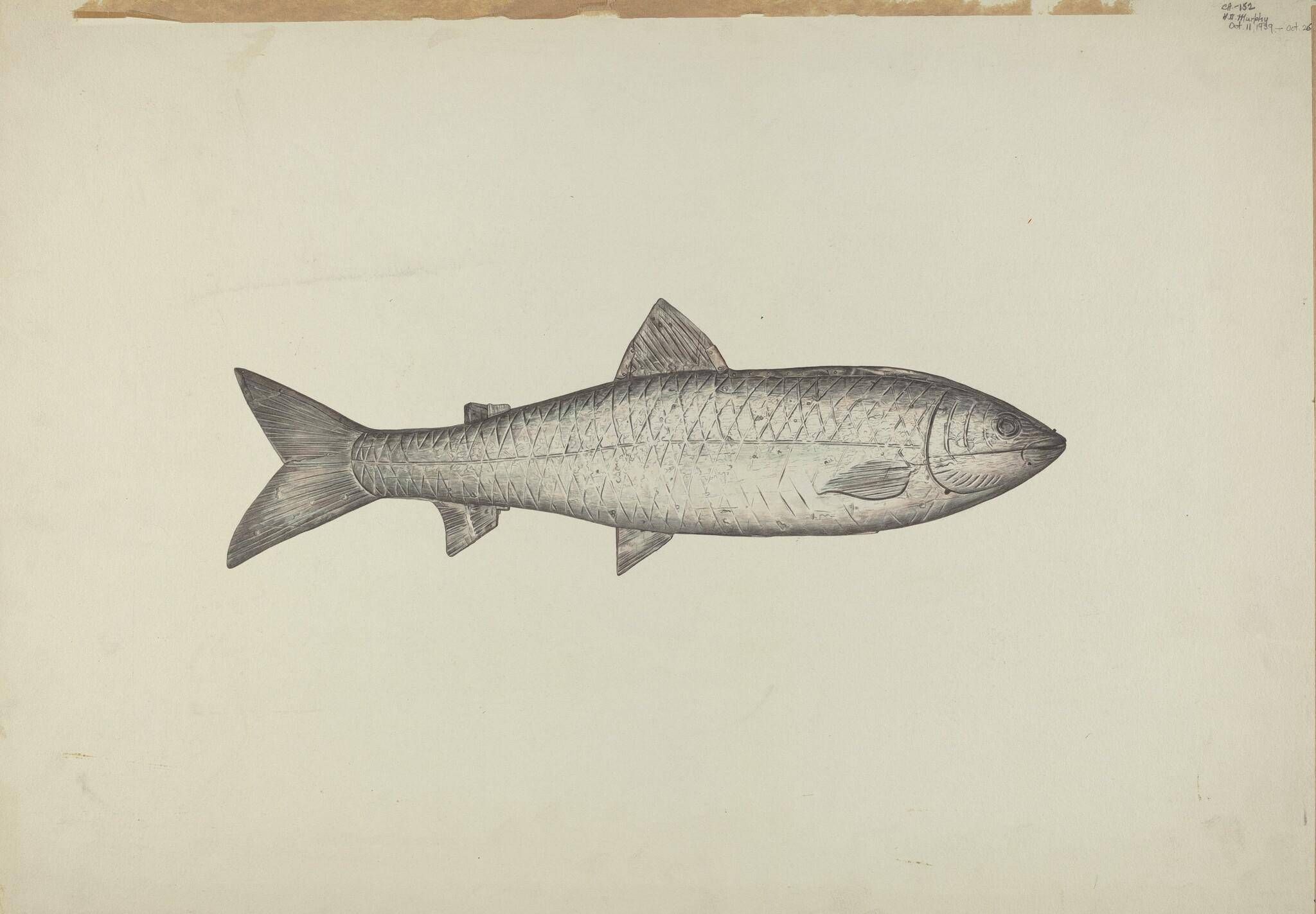 Object Image