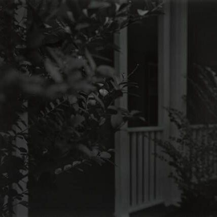 Untitled #4 (Leaves and Porch)