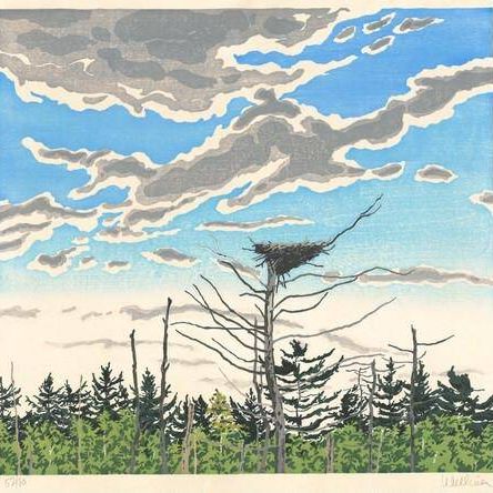 Osprey's Nest