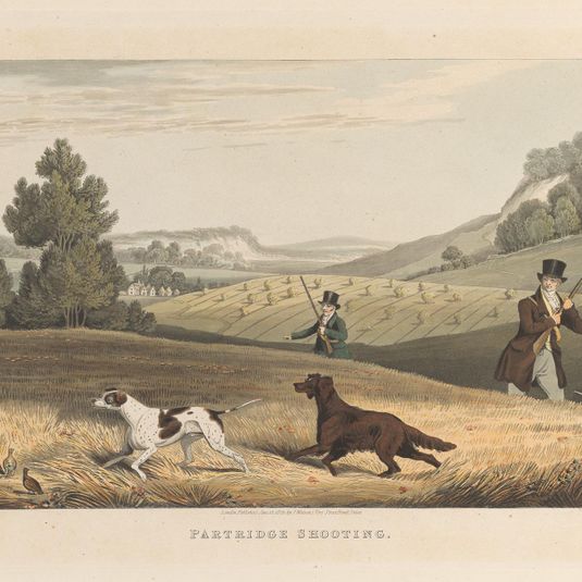 Partridge Shooting