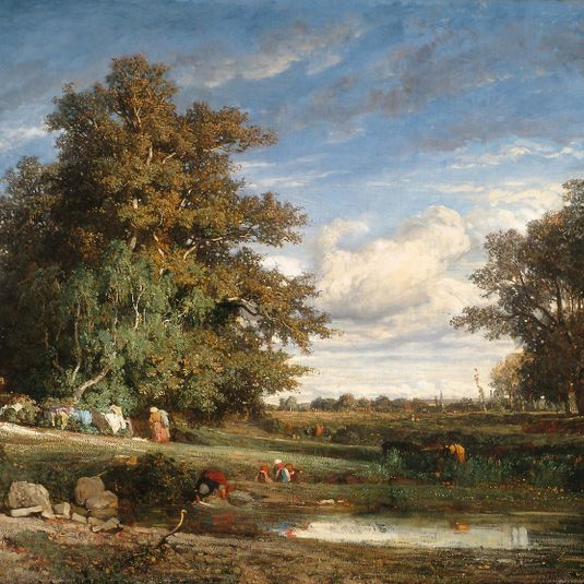 The Marsh