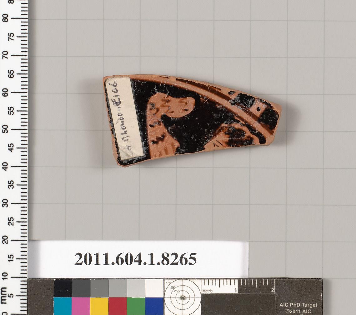 Object Image