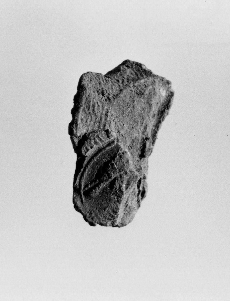 Object Image