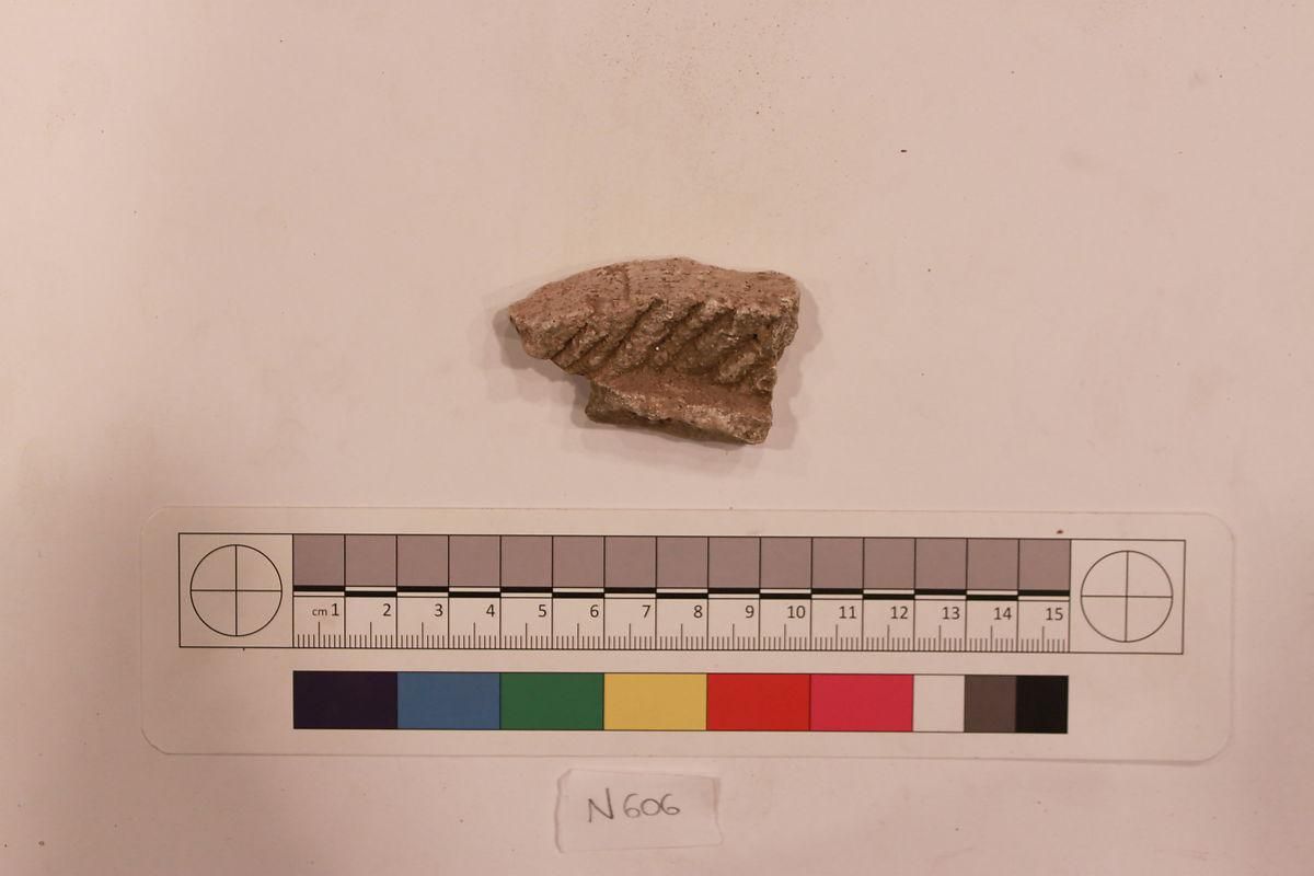 Object Image
