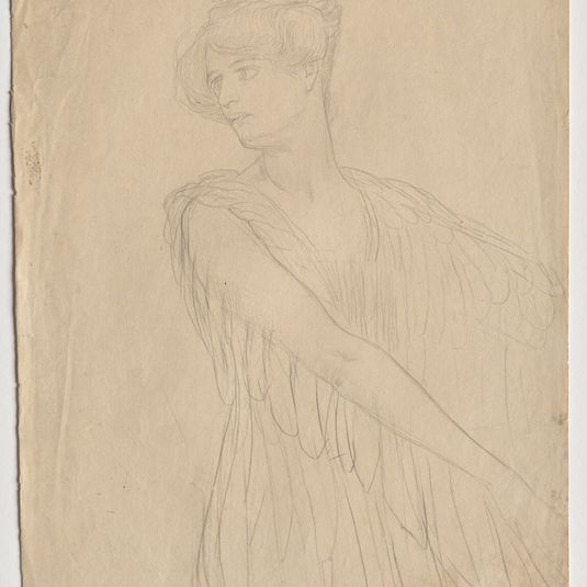 Euterpe