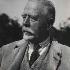 Johan Rohde