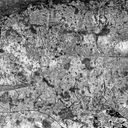 Object Image Thumbnail