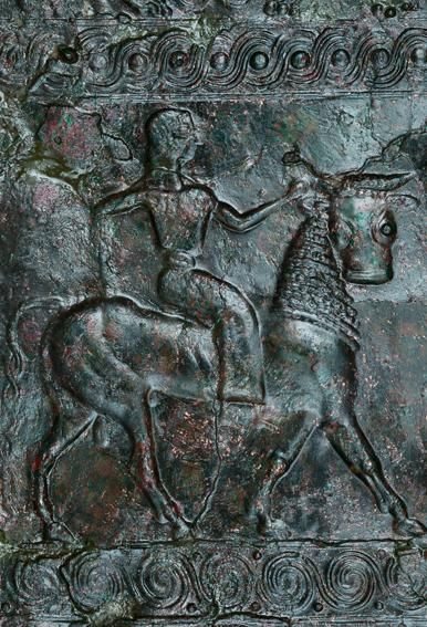 Ochanon of a shield