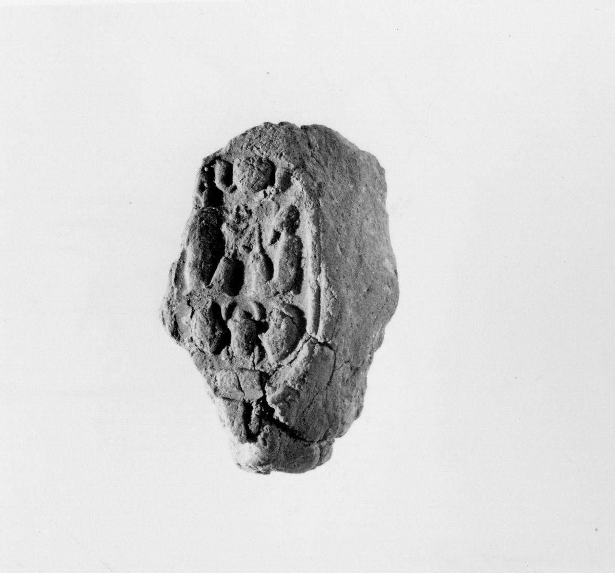 Object Image