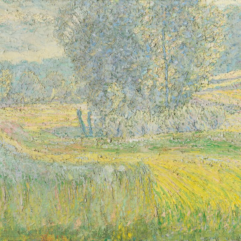 Fields near Rafolče