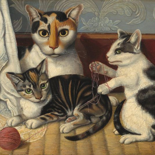 Cat and Kittens