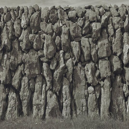 Aran