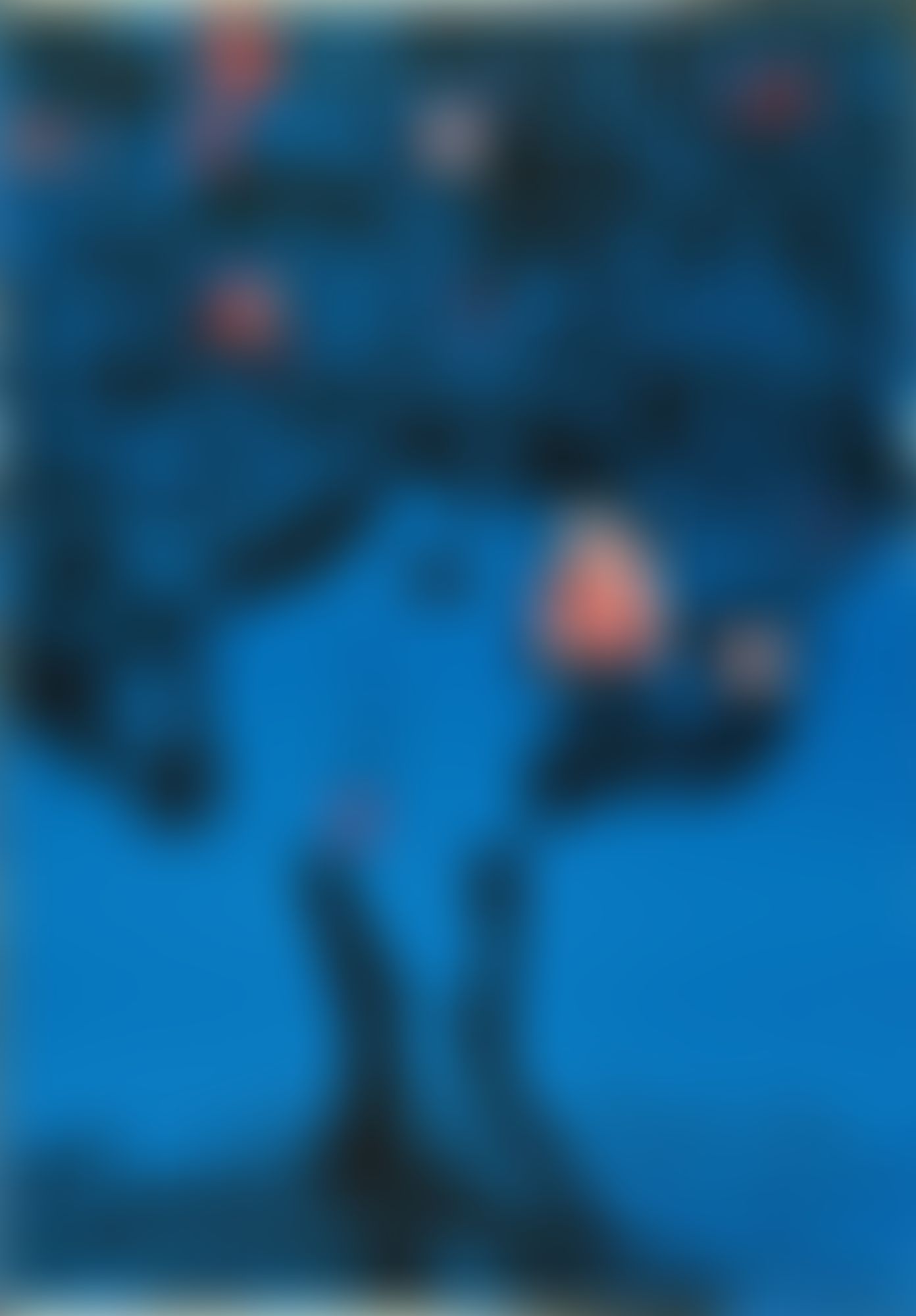 Object Image