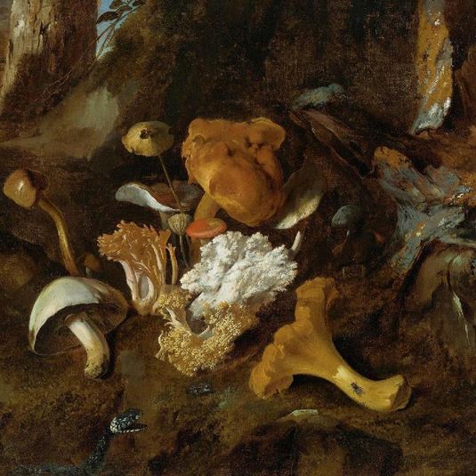 A Forest Floor Still Life with Mushrooms and a Snake