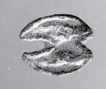 Object Image