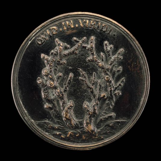 Leafless Branches [reverse]