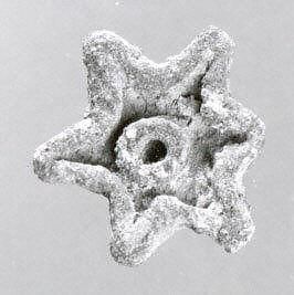 Object Image