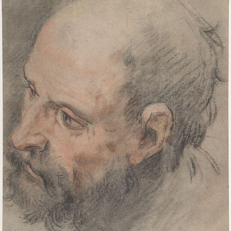 Head of a Bearded Man Looking Left