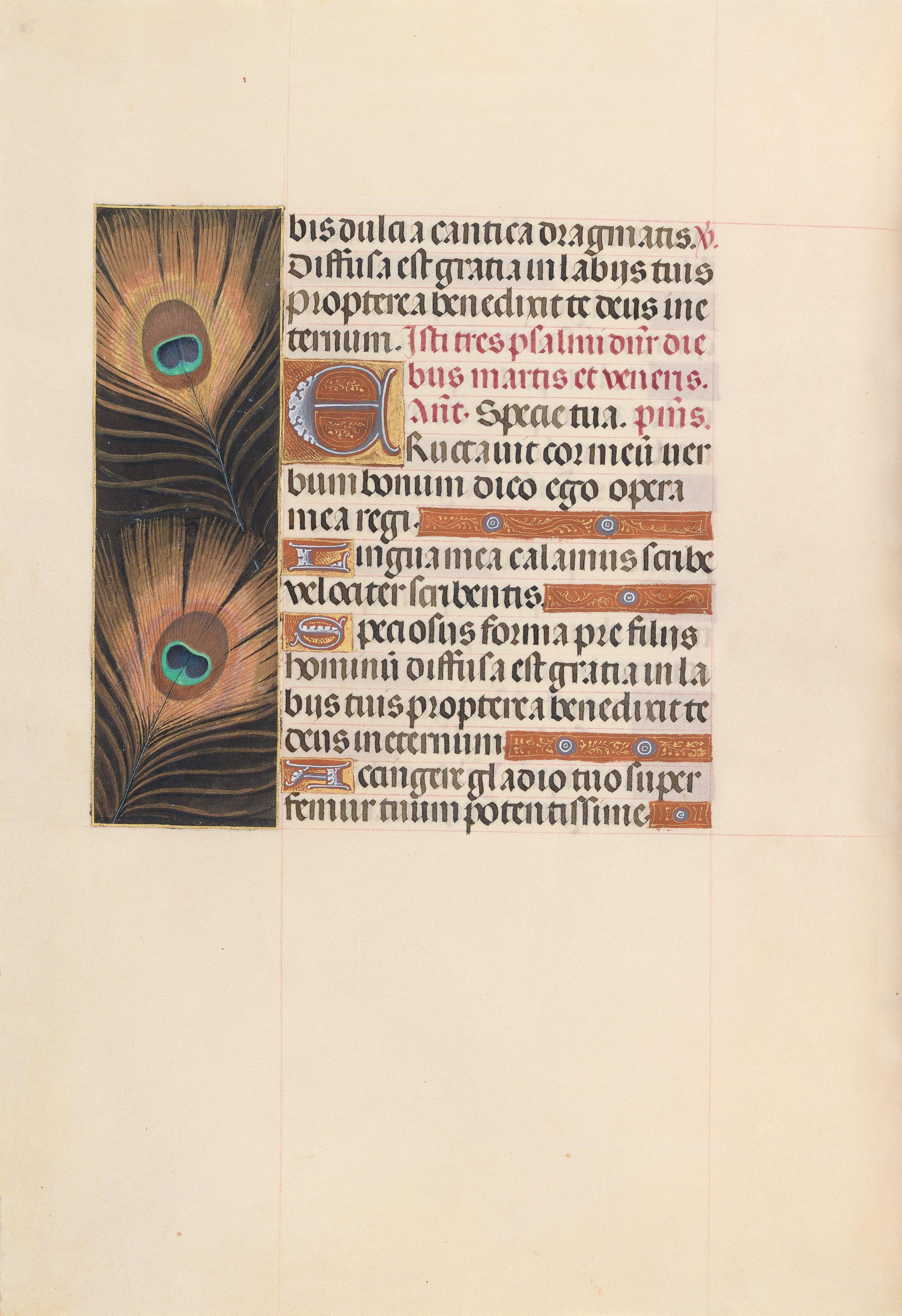 Object Image