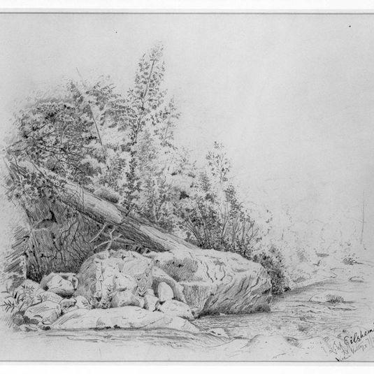 Fallen Tree, Keene Valley
