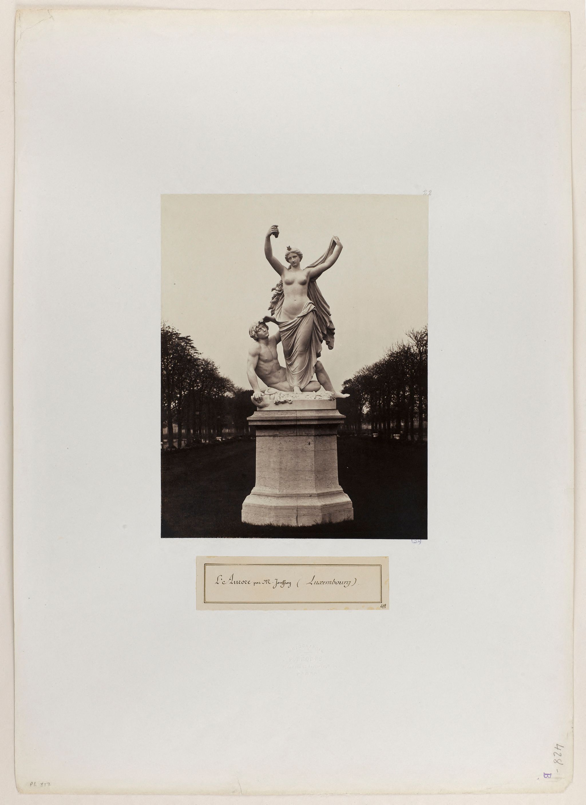 Object Image