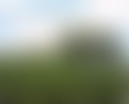 Object Image