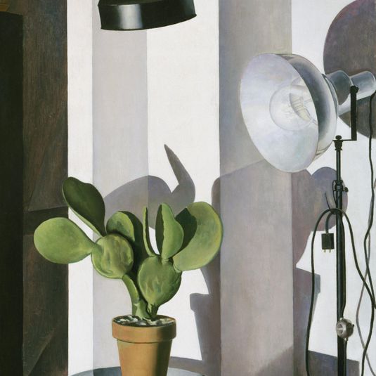 Cactus