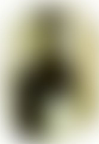Object Image