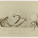 Object Image Thumbnail