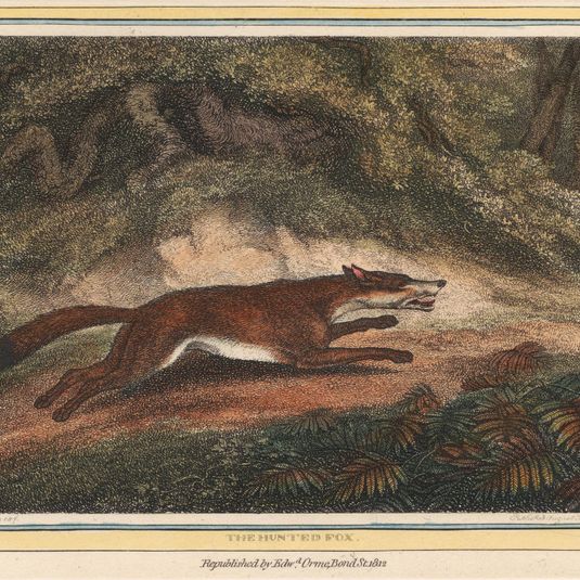 The Hunted Fox