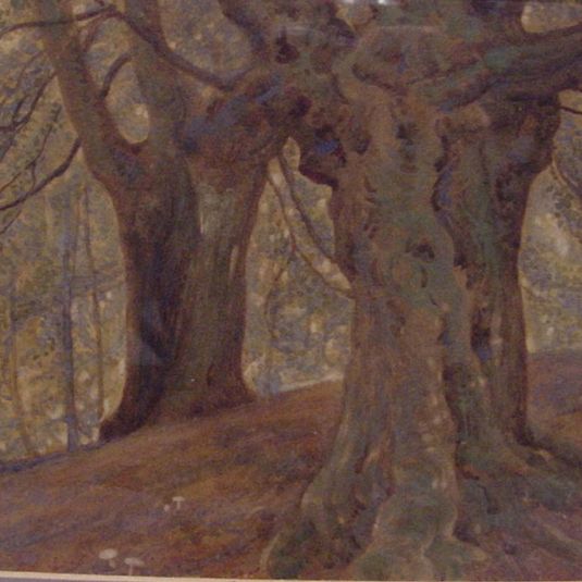 Burnham Beeches