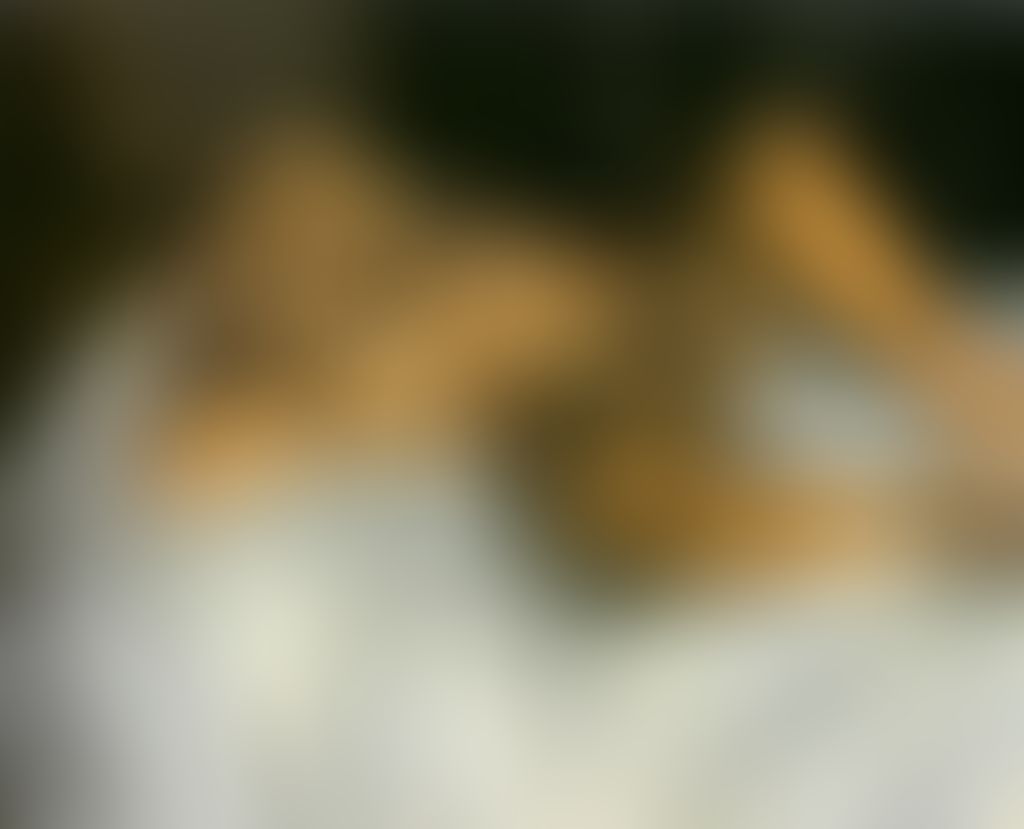 Object Image