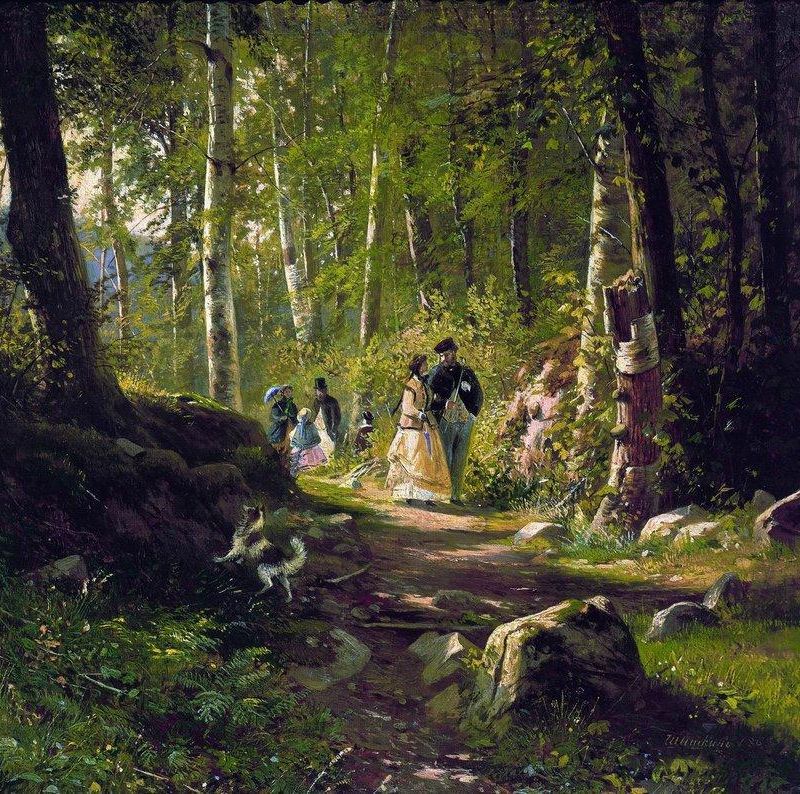 Walk in the Forest