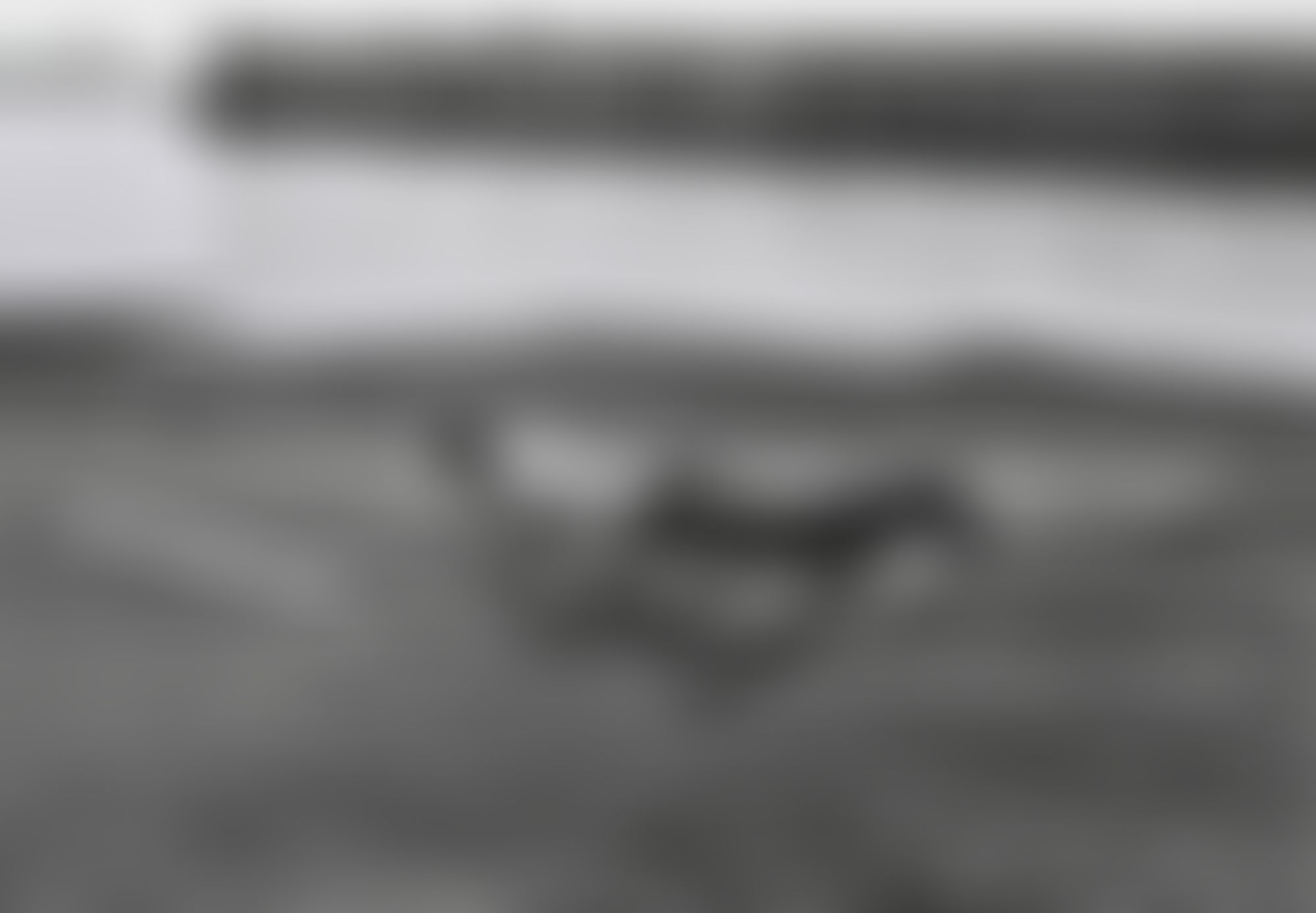 Object Image