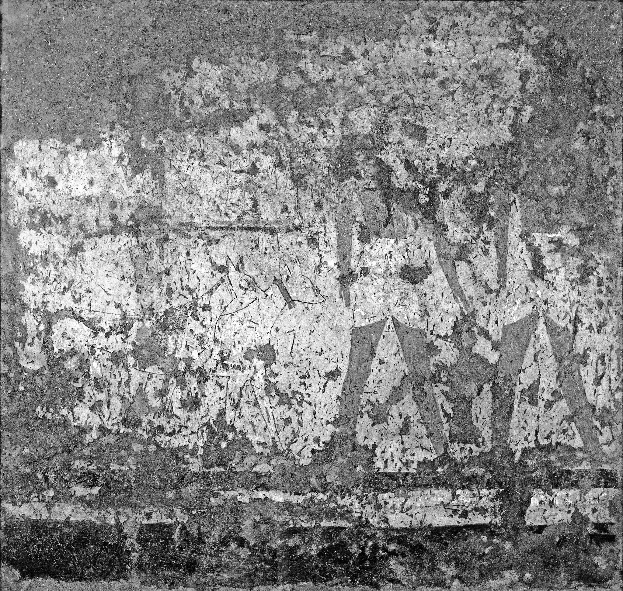Object Image