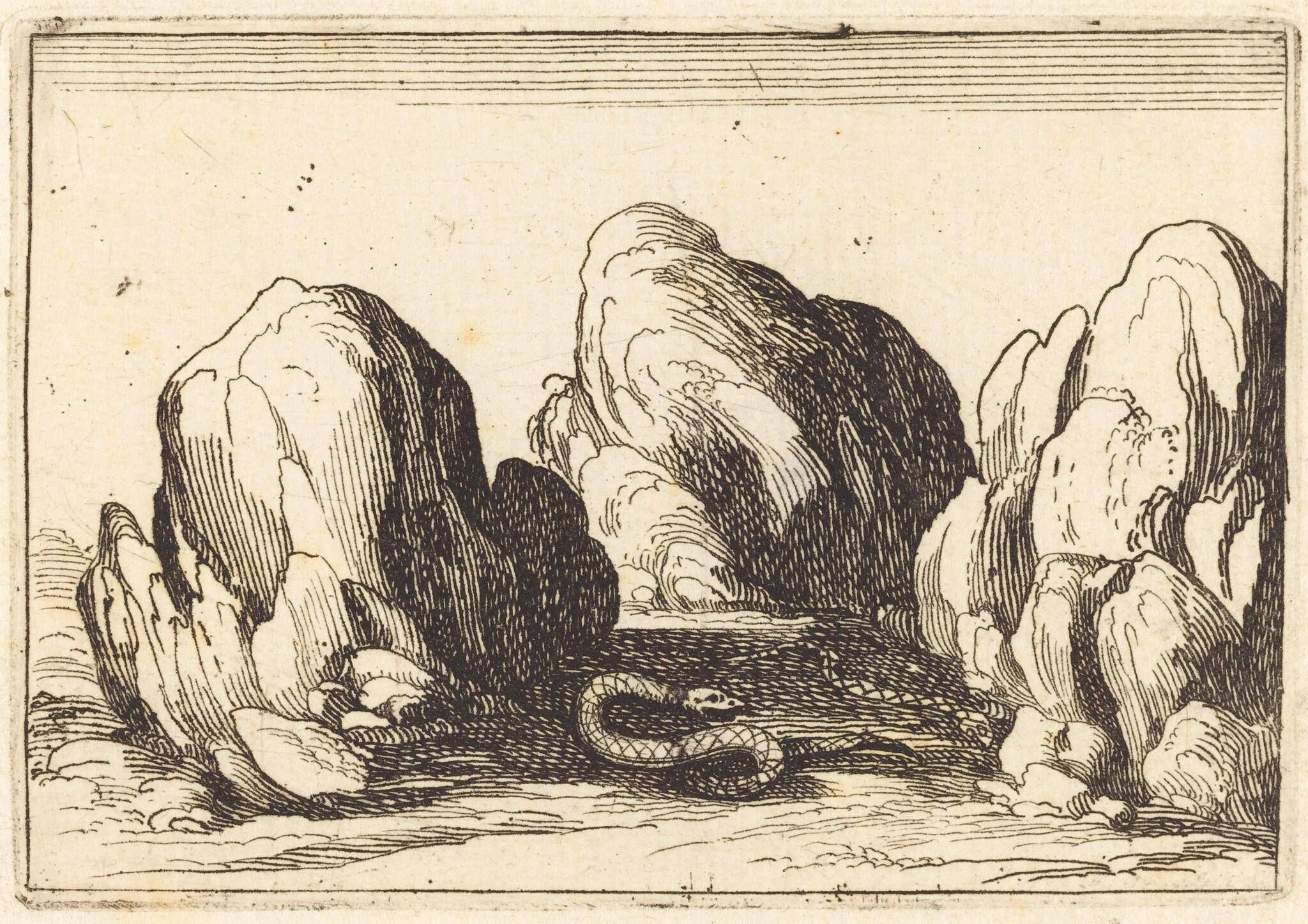 Object Image