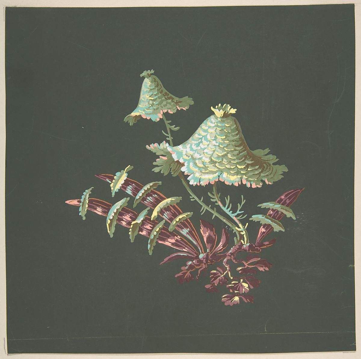 Object Image