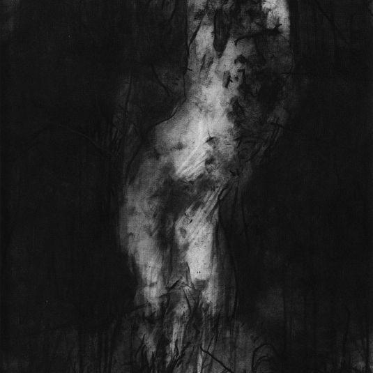 Considered Cruelties II
