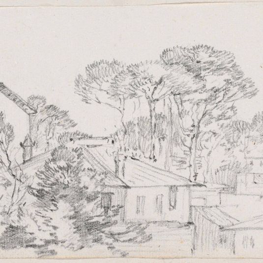 Rooftops and Umbrella Pines