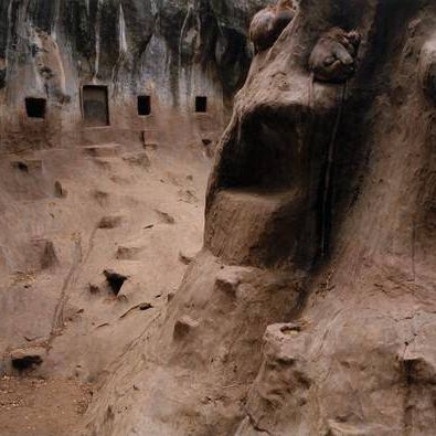 Baboons, Arnhem, Netherlands