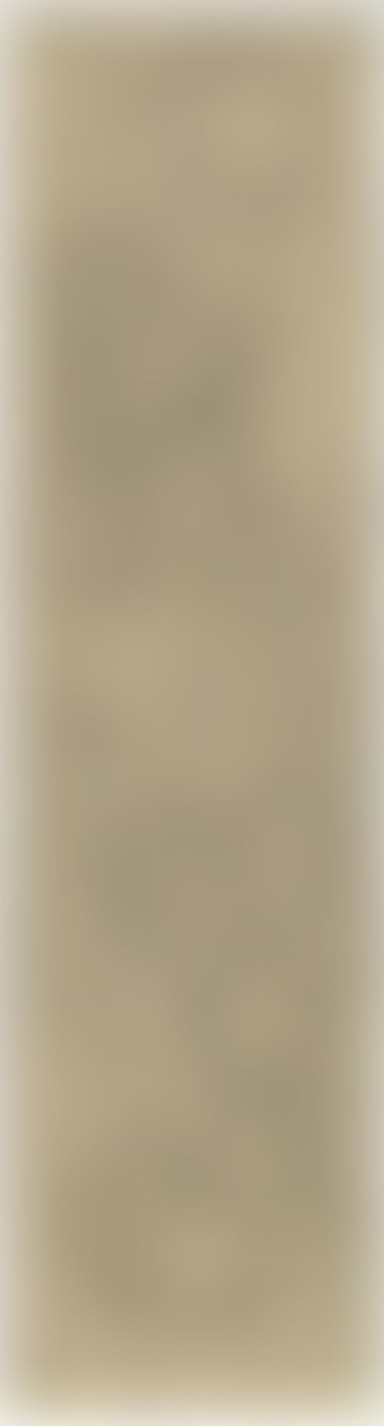 Object Image