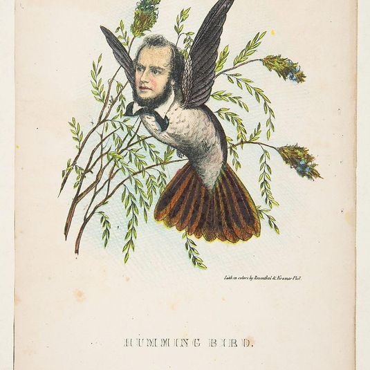 Humming Bird (Thomas B. Florence), from The Comic Natural History of the Human Race