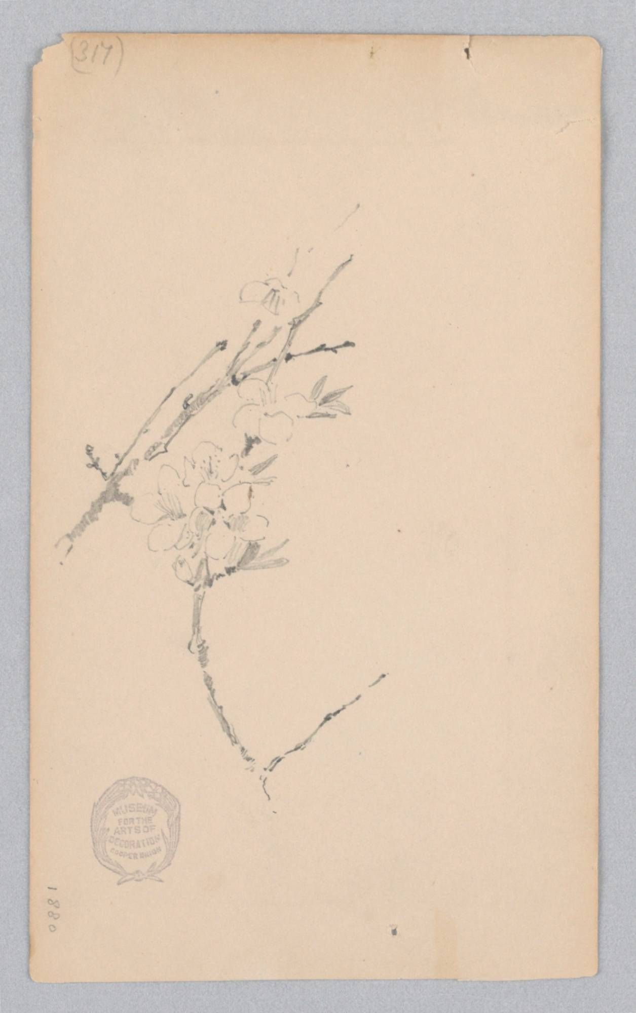 Object Image