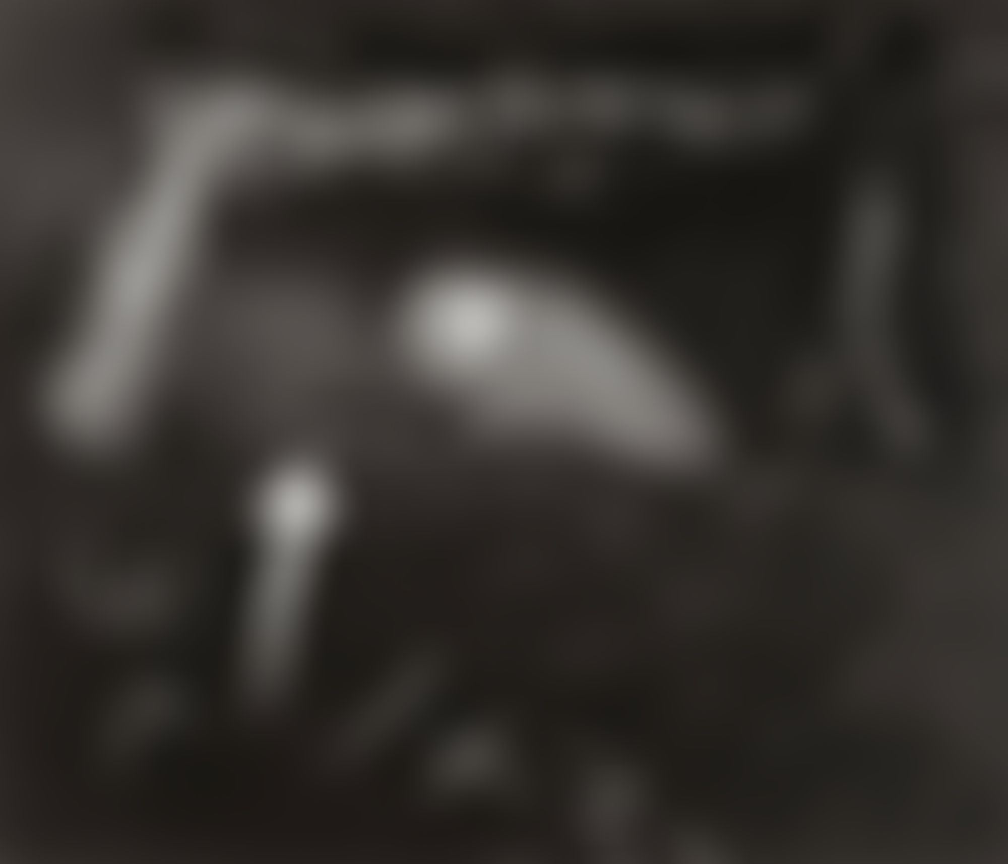 Object Image