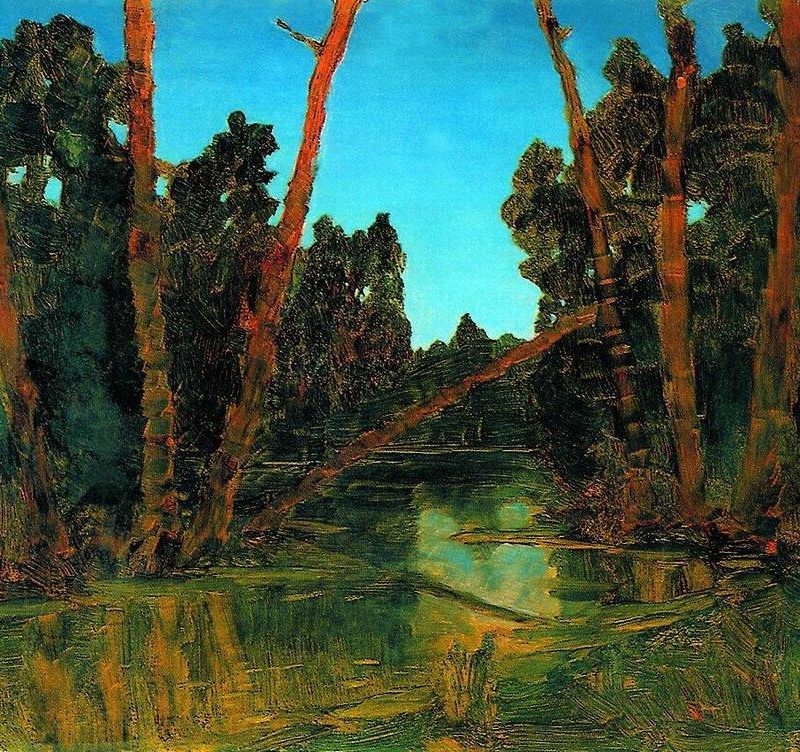 Forest swamp